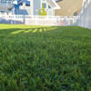 landscaping artificial grass