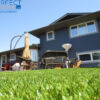 backyard synthetic grass