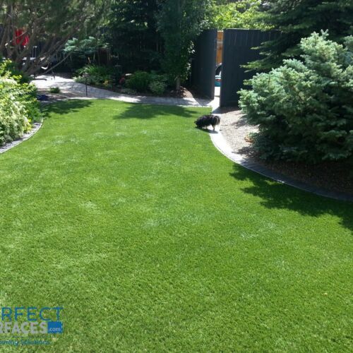 artificial landscape grass